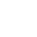 Verificar Icon